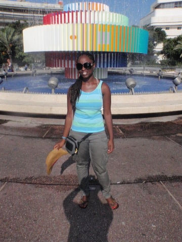 elachi98
