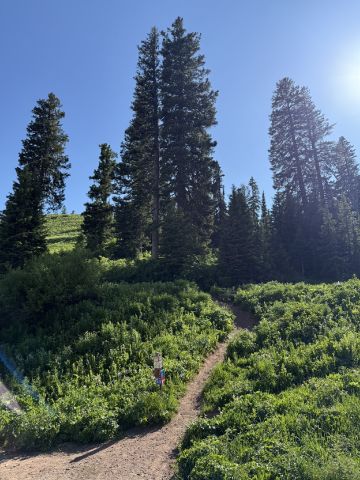 lookin4companion is Single in Salt Lake City, Utah, 4