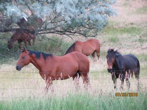 pilgrim4550 is Single in Billings, Montana, 1