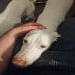 stevo1243 is Single in Vancouver, British Columbia