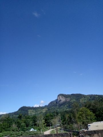 reydone
