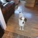 TONYEAST1 is Single in Willoughby, Ohio, 2