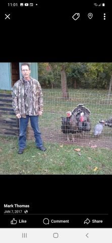 Mark731 is Single in Chillicothe, Ohio, 7