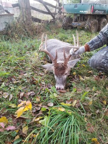 indianafarmboy2 is Single in washington, Indiana, 4