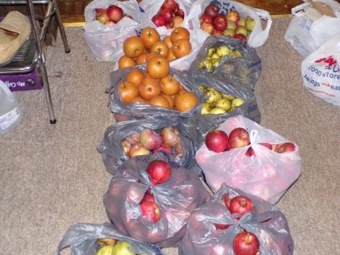 indianafarmboy2 is Single in washington, Indiana, 5