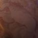 letsmeetforcoffee is Single in San Diego, California