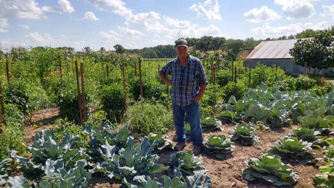 farmermerlin is Single in Farber, Missouri, 1