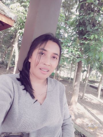 Nocknovianti
