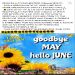 SouthernLadyFaith4Love is Single in Clarksvile, Tennessee, 8