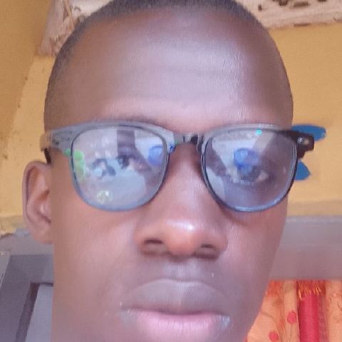 Newtonochen