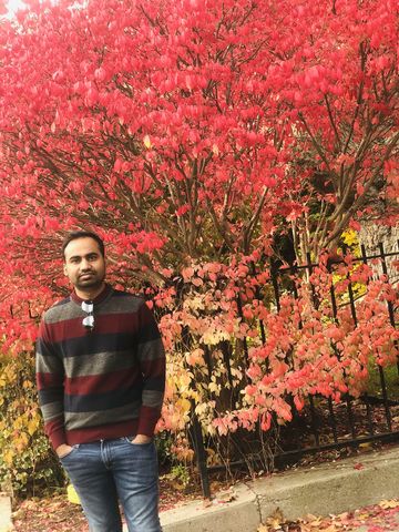 Harihaps