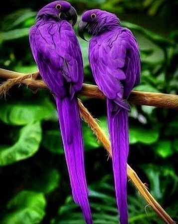 Faithfullove01
