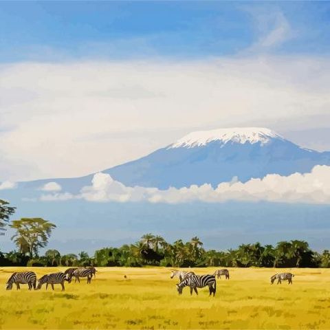 Lee451 is Single in Moshi, Kilimanjaro, 2