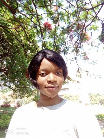 Chaja is Single in Lusaka, Lusaka, 1