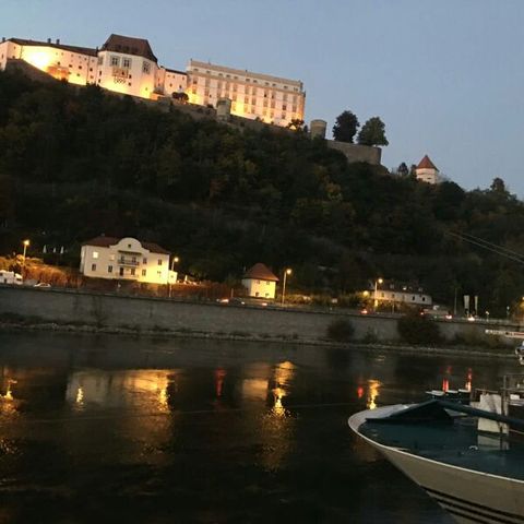 Newman2