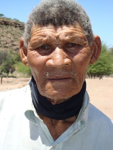 Sjark