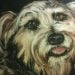 Lyzanne is Single in Newtownabbey, Northern Ireland, 5