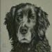 Lyzanne is Single in Newtownabbey, Northern Ireland, 6