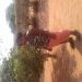 Mahaha1 is Single in Ndola, Lusaka, 2