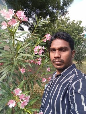 Anilkumar1510