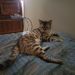 MrJones837 is Single in Sudbury, Ontario, 3