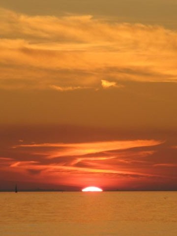 recontinued is Single in Cataract City, Ontario, 1