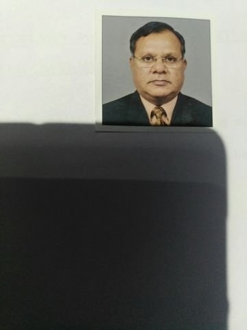 smjorgee