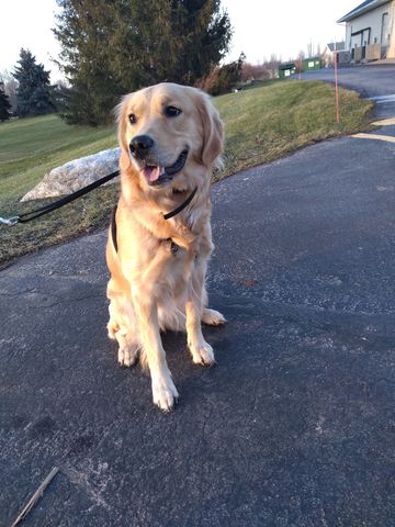 Waitingpatiently is Single in Rochester, New York, 3