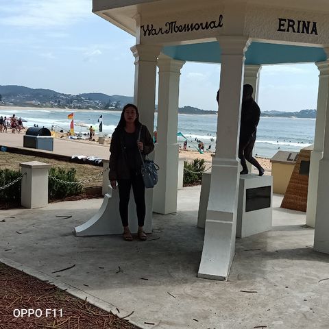 Cintaeca