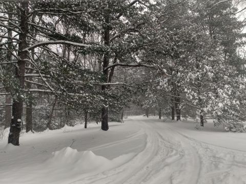 Millersville81 is Single in McClure, Pennsylvania, 4