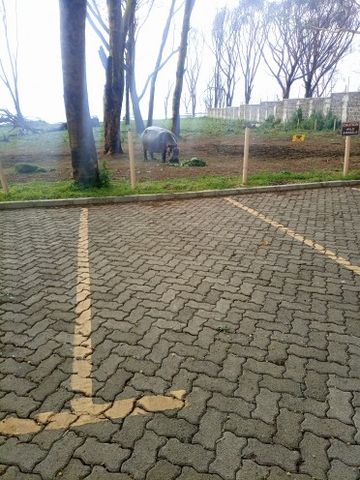 Ankm