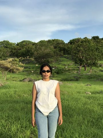 dianprahara