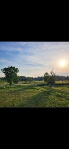 SeekerofOne is Single in Manitoulin, Ontario, 2