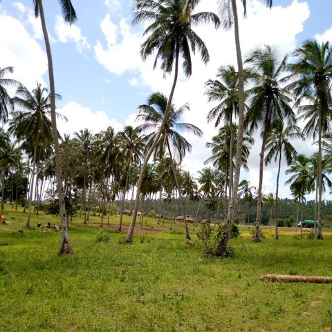 Vivpe