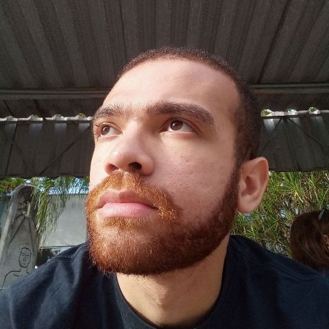 LuizL