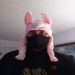SCbored is Single in Healdsburg, California, 6