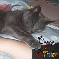 CatsloveDisney11 is Single in Kissimmee, Florida, 1