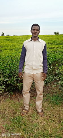 tonyman