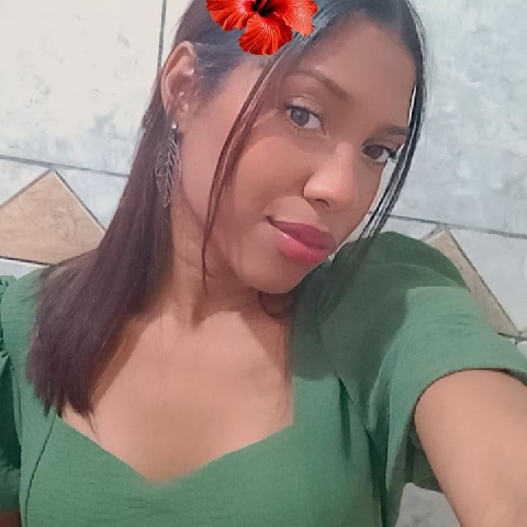 ArianeSilva