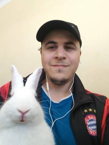 Rabbit Dating Site)
