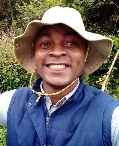 collinsobumba