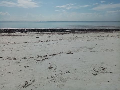 Vluka