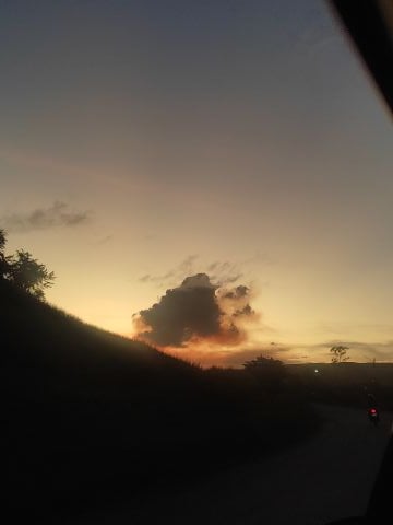 Dayanysz