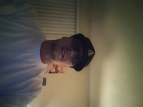 Stevede