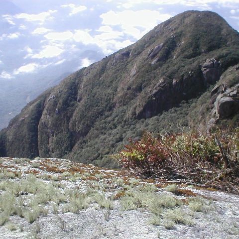 Dudasami