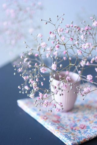 Nettie_9
