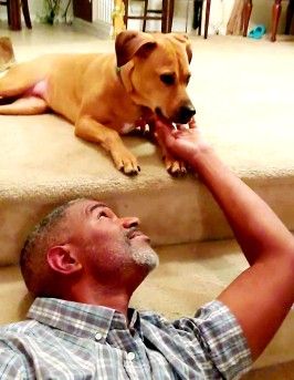 Kenneth8207 is Single in Portsmouth, Virginia, 1