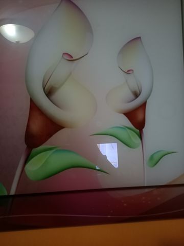 JessBernard9