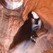 Adamwilliams28 is Single in Fountain, Colorado, 2
