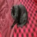 Crosscom is Single in Collinsville, Illinois, 1